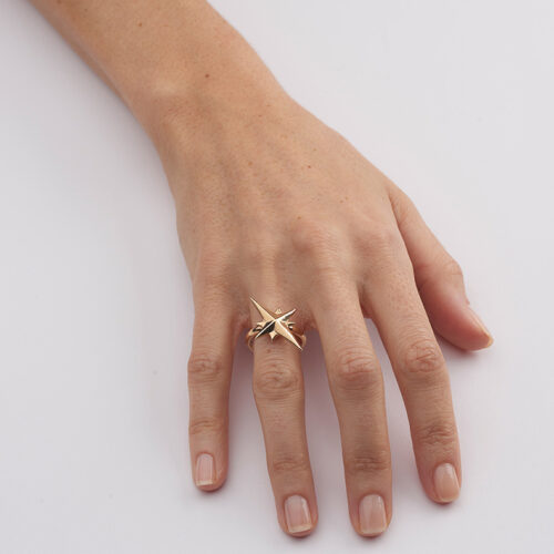 model wearing gold star ring